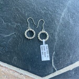 Elegant Stainless Steel Twisted Hoop Earrings